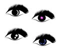 Female eyes and long eyelashes on a white background. Symbol.  Vector Royalty Free Stock Photo